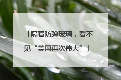 隔着防弹玻璃，看不见“美国再次伟大”