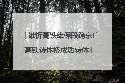 雄忻高铁雄保段跨京广高铁转体桥成功转体