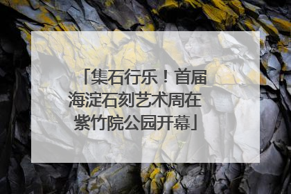 集石行乐！首届海淀石刻艺术周在紫竹院公园开幕