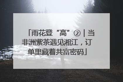 雨花登“高”②｜当非洲紫茶遇见湘江，订单里藏着共富密码