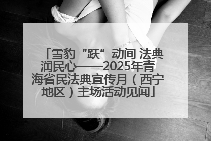 雪豹“跃”动间 法典润民心——2025年青海省民法典宣传月（西宁地区）主场活动见闻