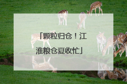 颗粒归仓！江淮粮仓夏收忙