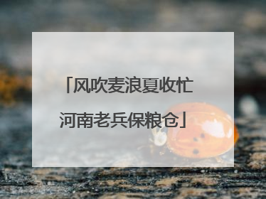 风吹麦浪夏收忙 河南老兵保粮仓