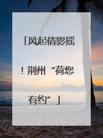 风起倩影摇！荆州“荷您有约”