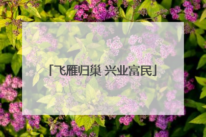 飞雁归巢 兴业富民