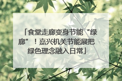 食堂走廊变身节能“绿廊”！嘉兴机关节能展把绿色理念融入日常