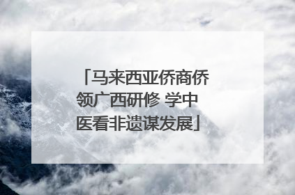 马来西亚侨商侨领广西研修 学中医看非遗谋发展