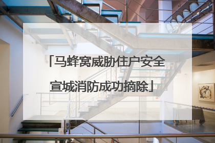 马蜂窝威胁住户安全 宣城消防成功摘除