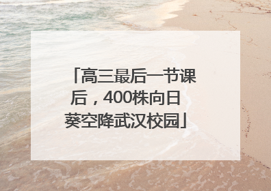 高三最后一节课后，400株向日葵空降武汉校园