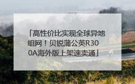 高性价比实现全球异地组网！贝锐蒲公英R300A海外版上架速卖通