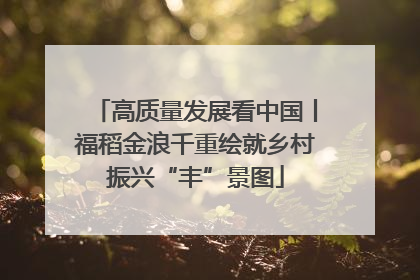 高质量发展看中国丨福稻金浪千重绘就乡村振兴“丰”景图