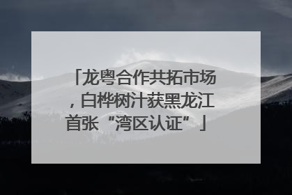 龙粤合作共拓市场，白桦树汁获黑龙江首张“湾区认证”