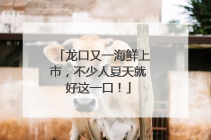 龙口又一海鲜上市，不少人夏天就好这一口！