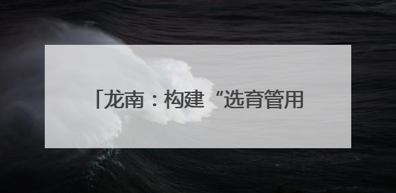 龙南：构建“选育管用”全链条闭环机制 激活社区治理“新引擎”