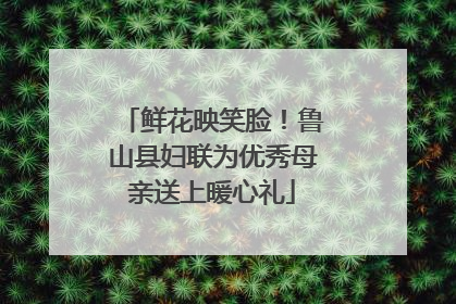鲜花映笑脸！鲁山县妇联为优秀母亲送上暖心礼
