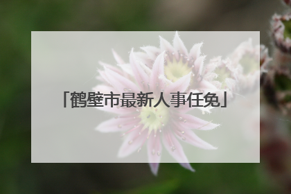 鹤壁市最新人事任免