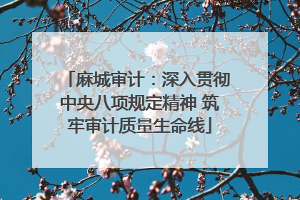 麻城审计：深入贯彻中央八项规定精神 筑牢审计质量生命线