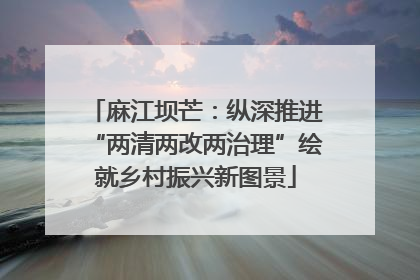 麻江坝芒：纵深推进“两清两改两治理”绘就乡村振兴新图景