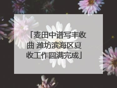 麦田中谱写丰收曲 潍坊滨海区夏收工作圆满完成
