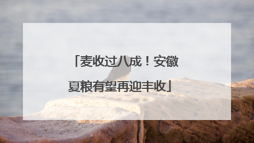 麦收过八成！安徽夏粮有望再迎丰收