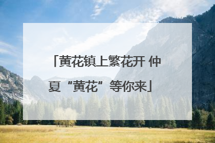 黄花镇上繁花开 仲夏“黄花”等你来