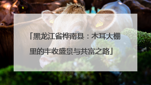 黑龙江省桦南县：木耳大棚里的丰收盛景与共富之路