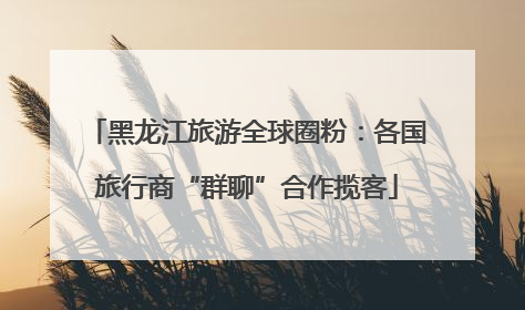 黑龙江旅游全球圈粉：各国旅行商“群聊”合作揽客