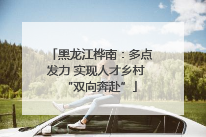 黑龙江桦南：多点发力 实现人才乡村“双向奔赴”