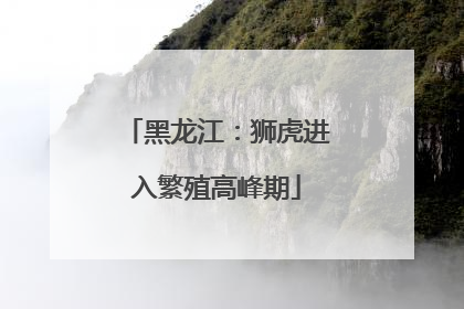 黑龙江：狮虎进入繁殖高峰期