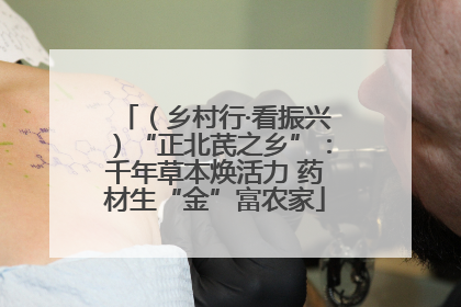 （乡村行·看振兴）“正北芪之乡”：千年草本焕活力 药材生“金”富农家