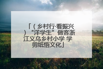 （乡村行·看振兴）“洋学生”做客浙江义乌乡村小学 学剪纸悟文化