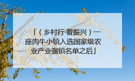 （乡村行·看振兴）一座肉牛小镇入选国家级农业产业强镇名单之后