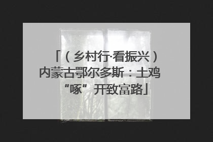 （乡村行·看振兴）内蒙古鄂尔多斯：土鸡“啄”开致富路