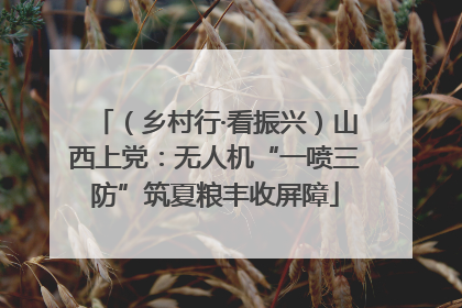 （乡村行·看振兴）山西上党：无人机“一喷三防”筑夏粮丰收屏障