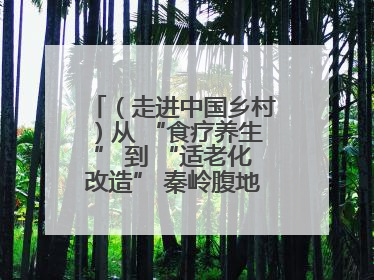 （走进中国乡村）从 “食疗养生” 到 “适老化改造” 秦岭腹地成康养“福地”