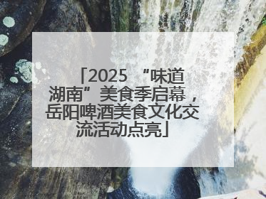 2025 “味道湖南”美食季启幕，岳阳啤酒美食文化交流活动点亮