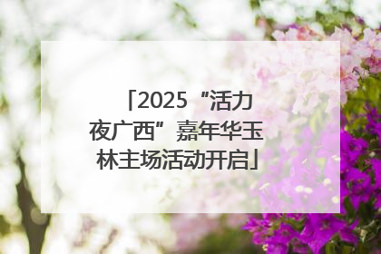 2025“活力夜广西”嘉年华玉林主场活动开启