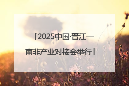 2025中国·晋江—南非产业对接会举行