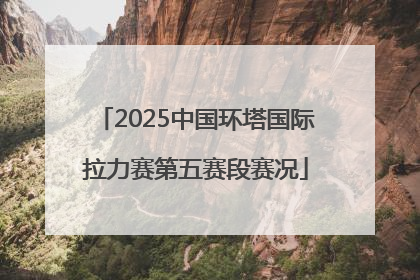 2025中国环塔国际拉力赛第五赛段赛况