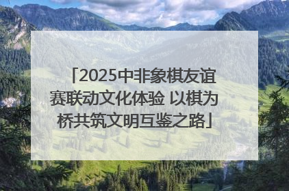 2025中非象棋友谊赛联动文化体验 以棋为桥共筑文明互鉴之路