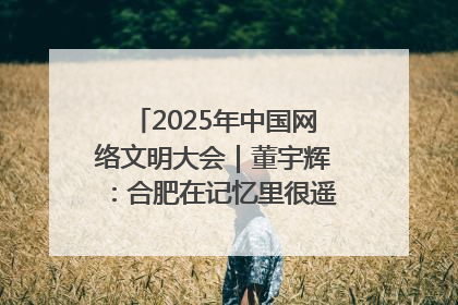 2025年中国网络文明大会｜董宇辉：合肥在记忆里很遥远也很亲切