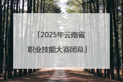 2025年云南省职业技能大赛闭幕