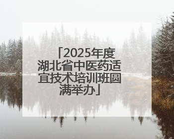 2025年度湖北省中医药适宜技术培训班圆满举办