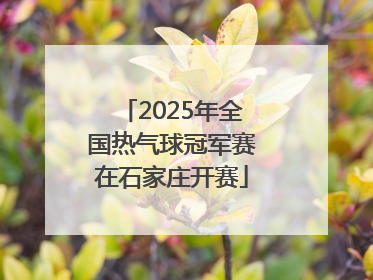 2025年全国热气球冠军赛在石家庄开赛