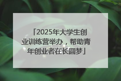 2025年大学生创业训练营举办，帮助青年创业者在长圆梦