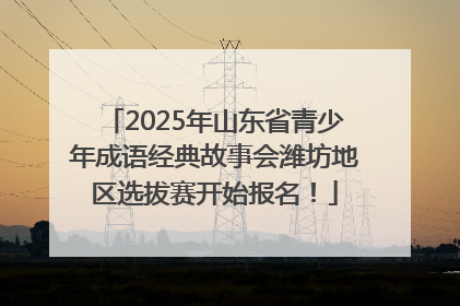 2025年山东省青少年成语经典故事会潍坊地区选拔赛开始报名！