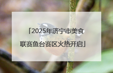 2025年济宁市美食联赛鱼台赛区火热开启