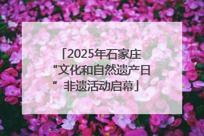 2025年石家庄“文化和自然遗产日”非遗活动启幕