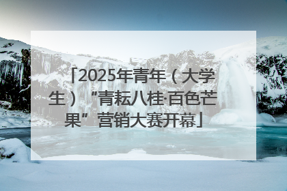2025年青年（大学生）“青耘八桂·百色芒果”营销大赛开幕