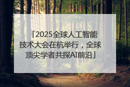 2025全球人工智能技术大会在杭举行，全球顶尖学者共探AI前沿
